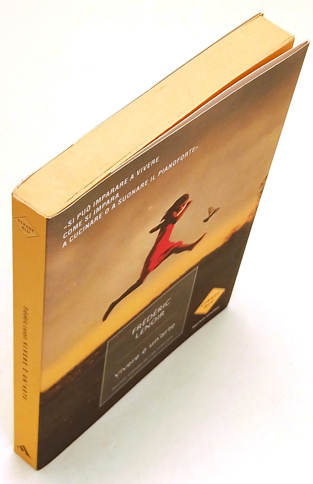 Vivere e' un'arte - Frederic Lenoir - Mondadori Strade Blu - 1a ed. - ZFS262