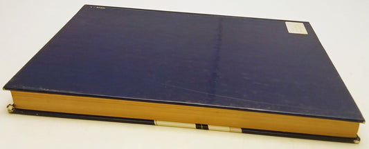 Super Zorro - I fumetti Mondadori Walt Disney - 1a ed. - YFS292