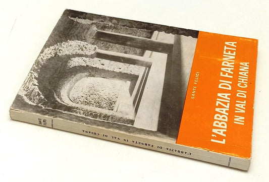 LV- L'ABBAZIA FARNETA IN VAL DI CHIANA - SANTE FELICE ---- 1972 - B - YFS415