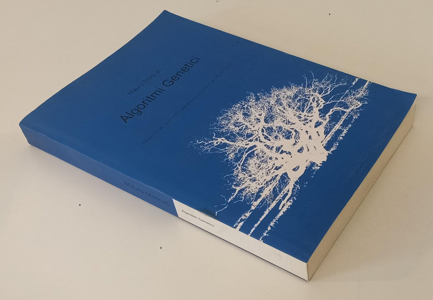 LZ- ALGORITMI GENETICI - MAURO MOSCATI - ILMIOLIBRO.IT --- 2008 - B - YFS101