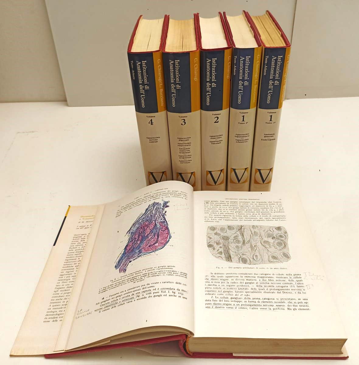 LZ- ISTITUZIONI DI ANATOMIA DELL'UOMO 6 VOLUMI - CHIARUGI - VALLARDI- CS- BLCP81