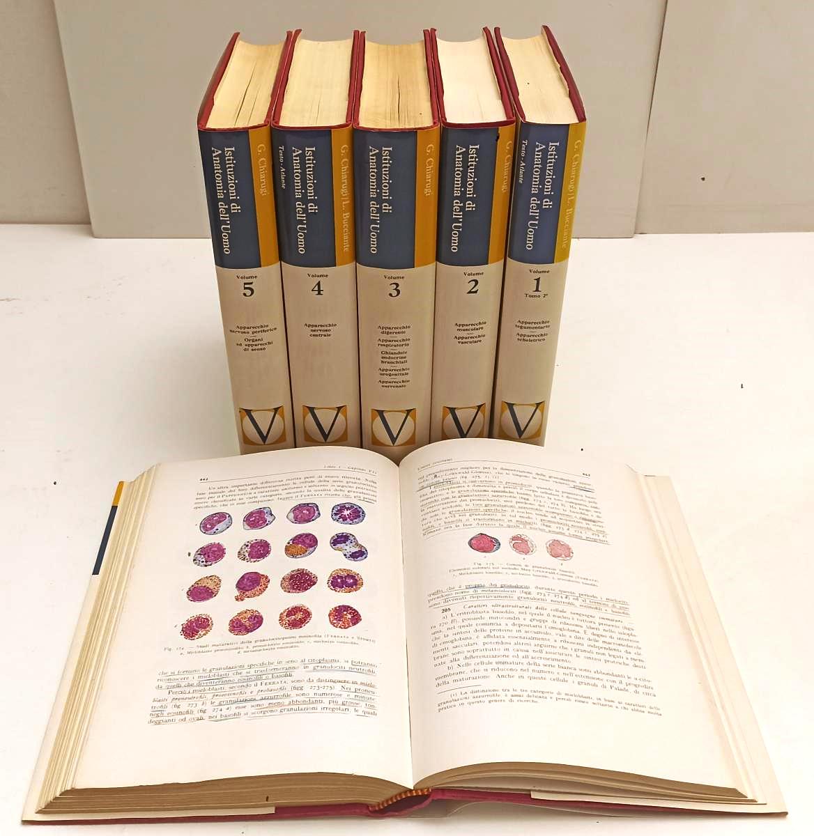 LZ- ISTITUZIONI DI ANATOMIA DELL'UOMO 6 VOLUMI - CHIARUGI - VALLARDI- CS- BLCP81