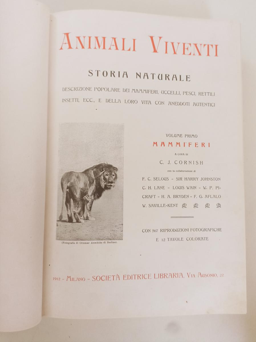 LZ- ANIMALI VIVENTI VOLUME PRIMO MAMMIFERI-- SOC. ED. LIBRARIA--- 1911- C-YFS764