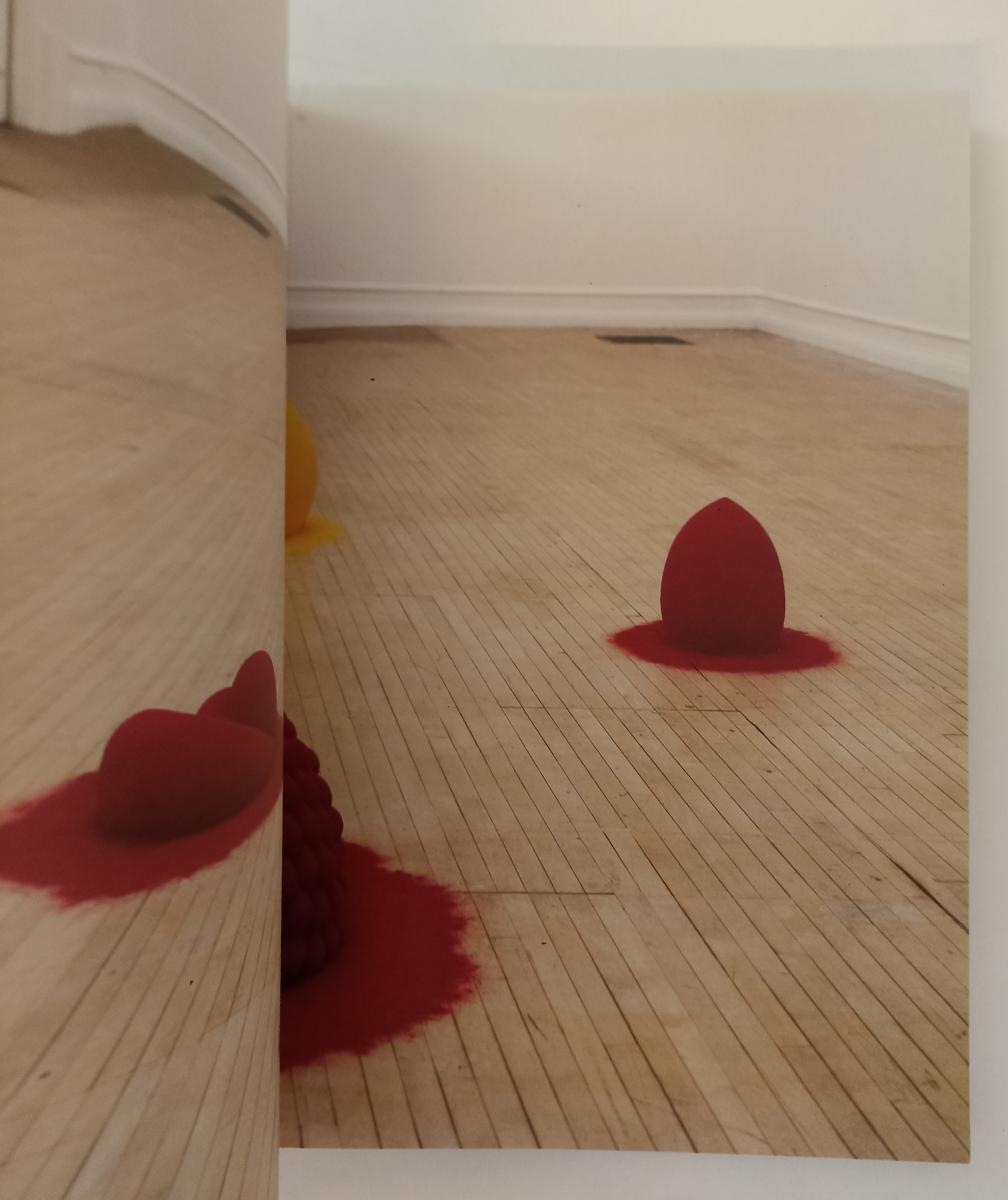 LT- ANISH KAPOOR - GERMANO CELANT - CHARTA - FONDAZIONE PRADA -- 1995- B- YFS135