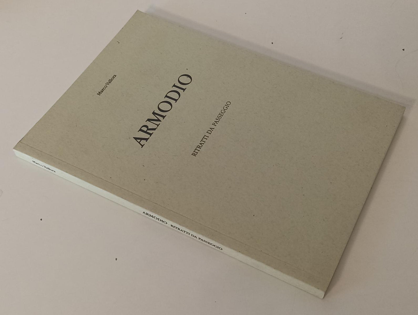 LT- ARMODIO RITRATTI DI PASSEGGIO - VALLORA - ANTONIA JANNONE--- 1998- B- XFS171