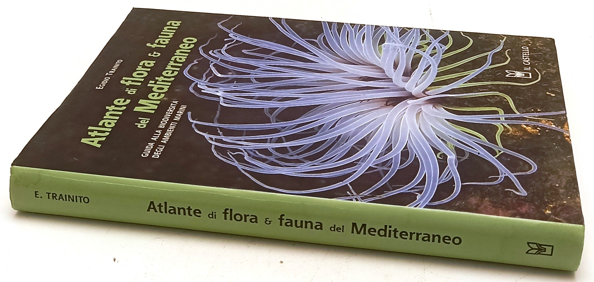 LZ- ATLANTE FLORA E FAUNA MEDITERRANEO - TRAINITO- IL CASTELLO- 2008- CS- YFS850