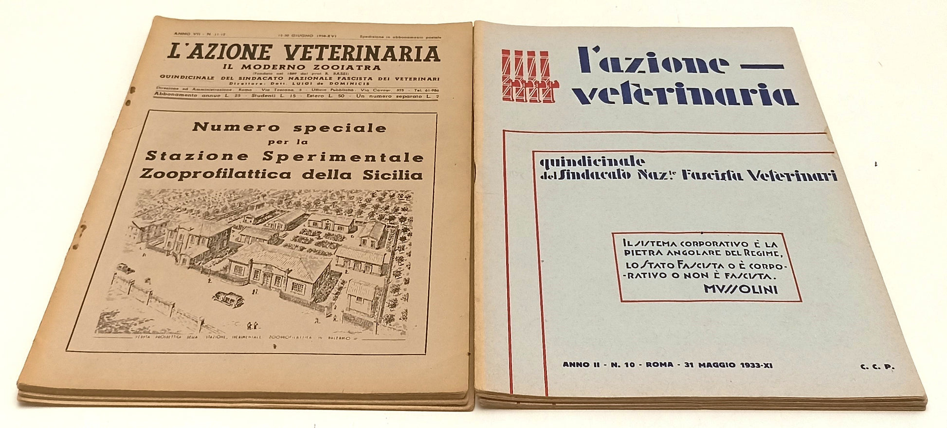 LR- RIVISTA L'AZIONE VETERINARIA 8 NUMERI- SINDACATO NAZIONALE FASCISTA- RVSa572
