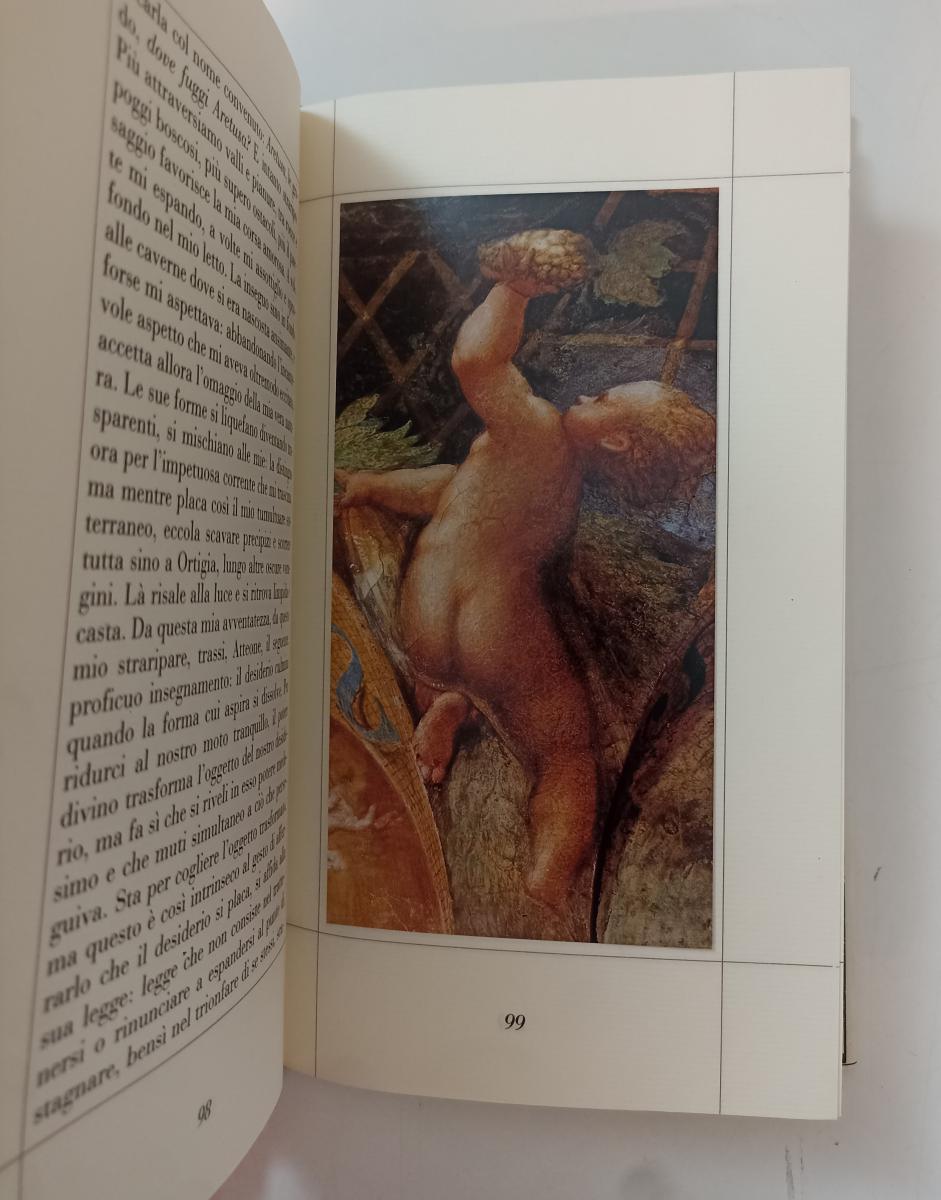 LT- IL BAGNO DI DIANA - PIERRE KLOSSOVSKI- FRANCO MARIA RICCI --- 1983 - CS- XFS