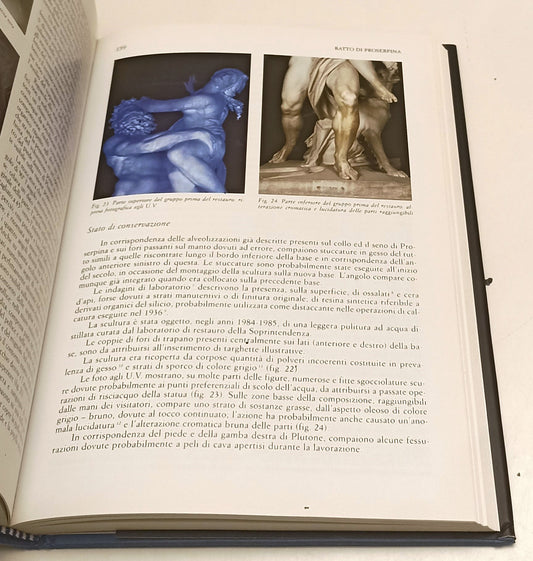 LT- BERNINI SCULTORE LA TECNICA ESECUTIVA- DE LUCA EDITORI ARTE- 2002- CS-XFS119