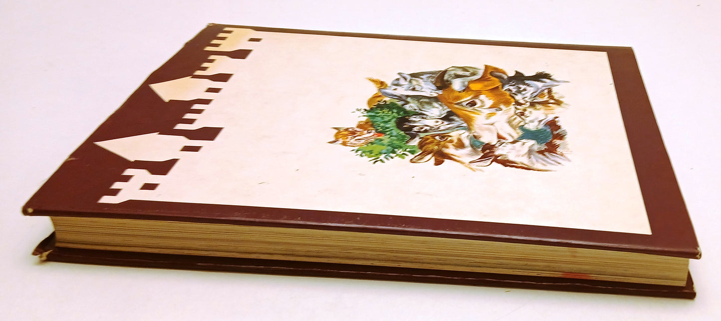 LZ- LA BIBLIOTECA FANTASTICA ILLUSTRATO -- FABBRI --- 1982 - CS - YFS216