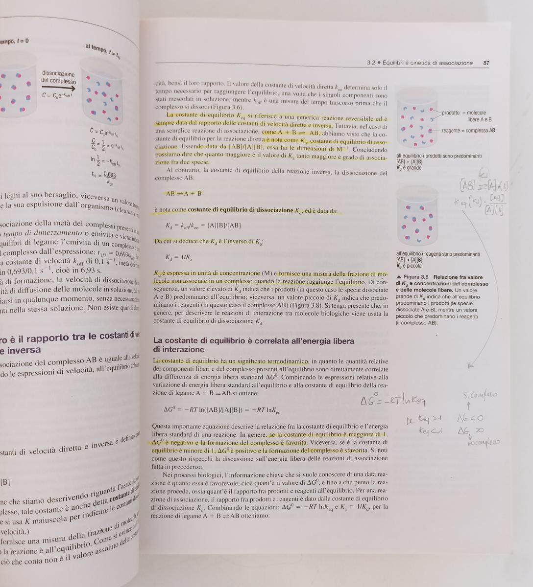 LZ- BIOLOGIA MOLECOLARE PRINCIPI FUNZIONAMENTO GENOMA-- PEARSON- 2013- B- ZFS369