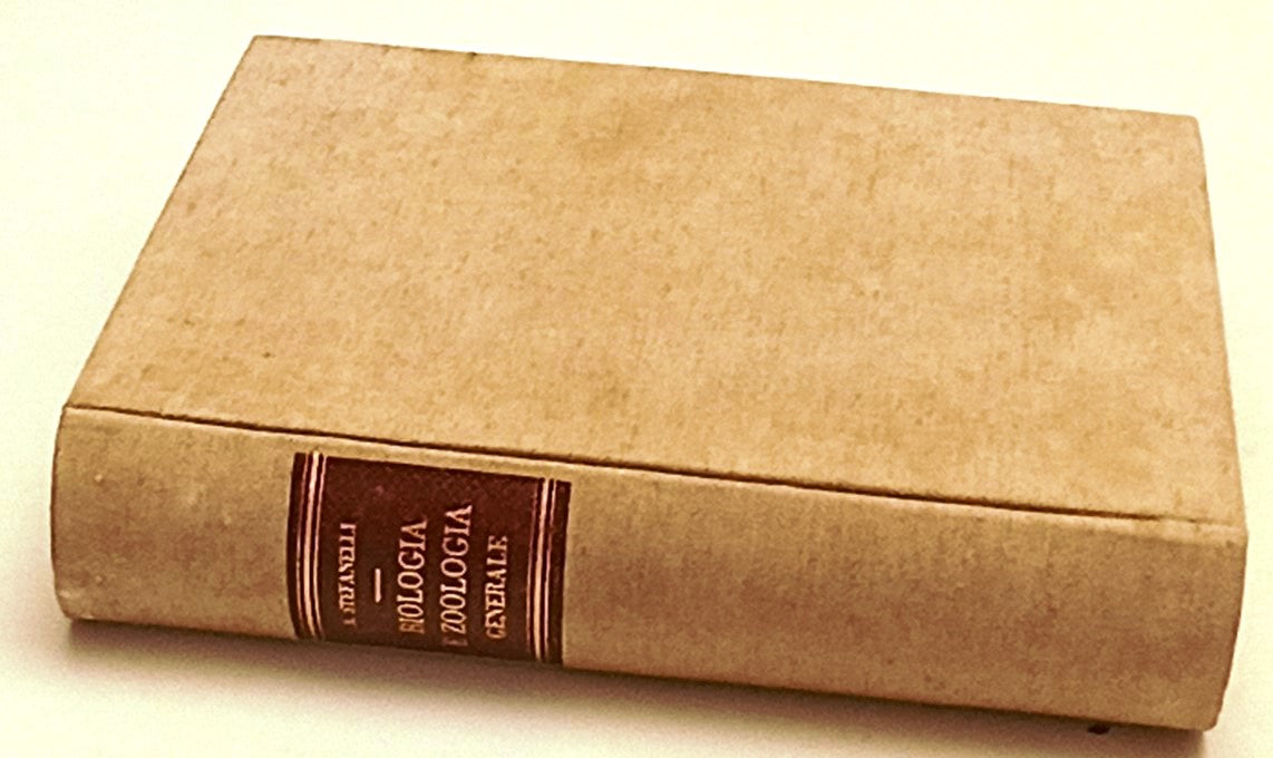 LZ- BIOLOGIA E ZOOLOGIA GENERALE - AUGUSTO STEFANELLI- MACRI'--- 1940- C- YFS299
