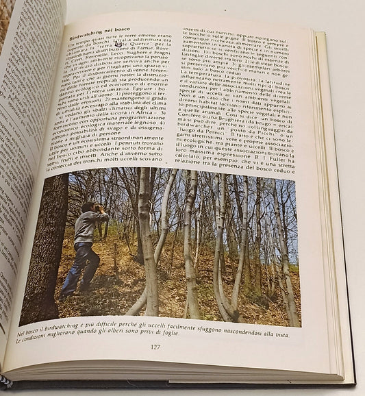 LZ- BIRDWATCHING- FRANCESCO MEZZATESTA- MONDADORI- GUIDE AIRONE- 1987- CS-YFS314
