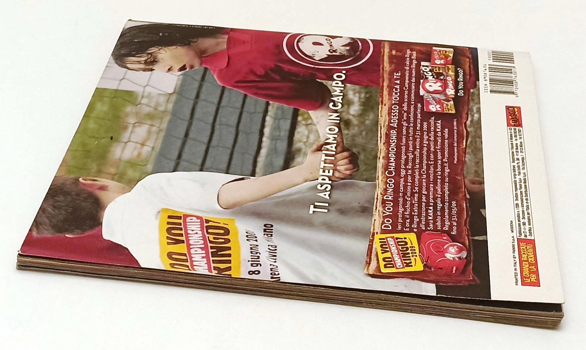 AA- ALBUM CALCIATORI PANINI CAMPIONATO 2008/09 - CIRCA 300 FIGURINE - LBM27