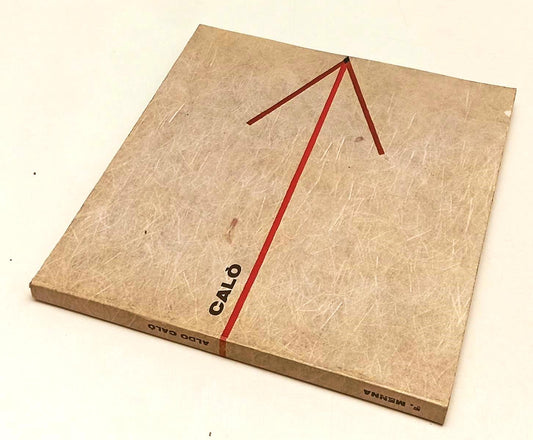 LT- ALDO CALO' OPERE RECENTI - FILIBERTO MENNA - SERAFINI --- 1976 - B - XFS189