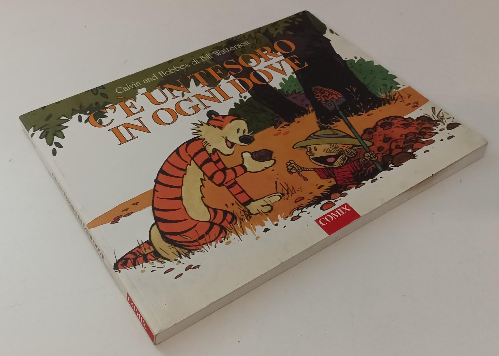 FC- CALVIN & HOBBES C'E' UN TESORO IN OGNI DOVE - BILL WATTERSON- COMIX-- B- P23