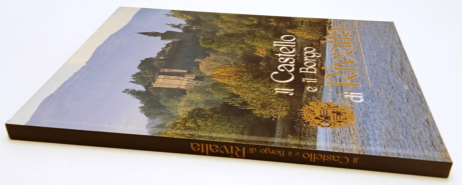 LV- IL CASTELLO E IL BORGO DI RIVALTA- DANIELA GUERRIERI- NLF--- 2009- C- YFS737