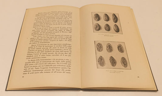 LR- IL CIOCCOLATO ED IL SUO VALORE ALIMENTARE--  FOA' --- 1933 - C - XFS44