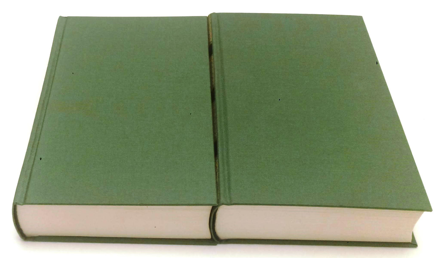 LS- IL TRECENTONOVELLE + LIBRO RIME 2 VOLUMI- SACCHETTI- UTET- CLASSICI - C- XFS