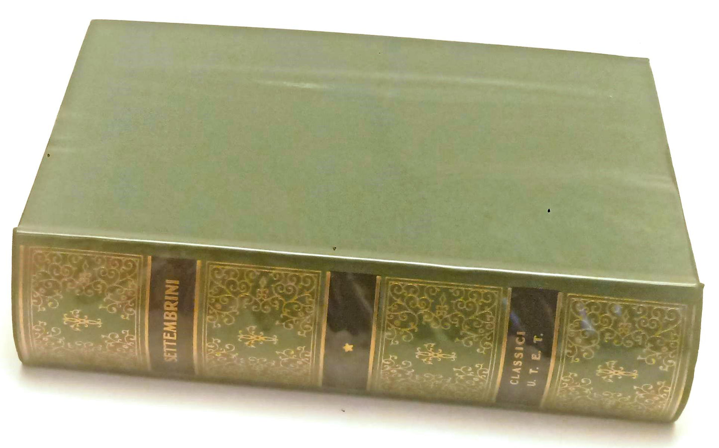 LS- RICORDANZE - SETTEMBRINI - UTET - CLASSICI ITALIANI - 2a ED. - 1971- CS- XFS