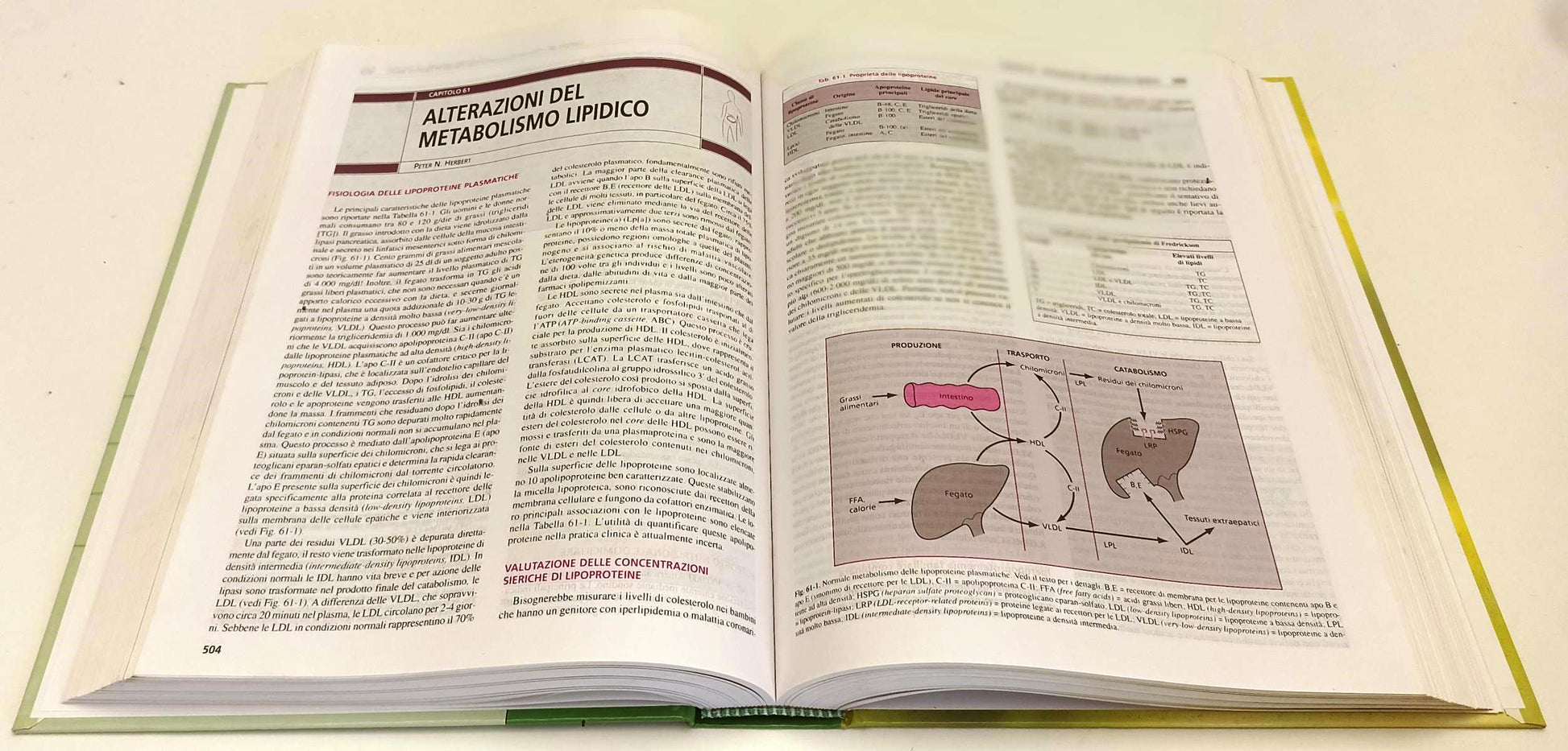LQ- CECIL COMPENDIO DI MEDICINA INTERNA - ANDREOLI - VERDUCI--- 2003- C- YFS119