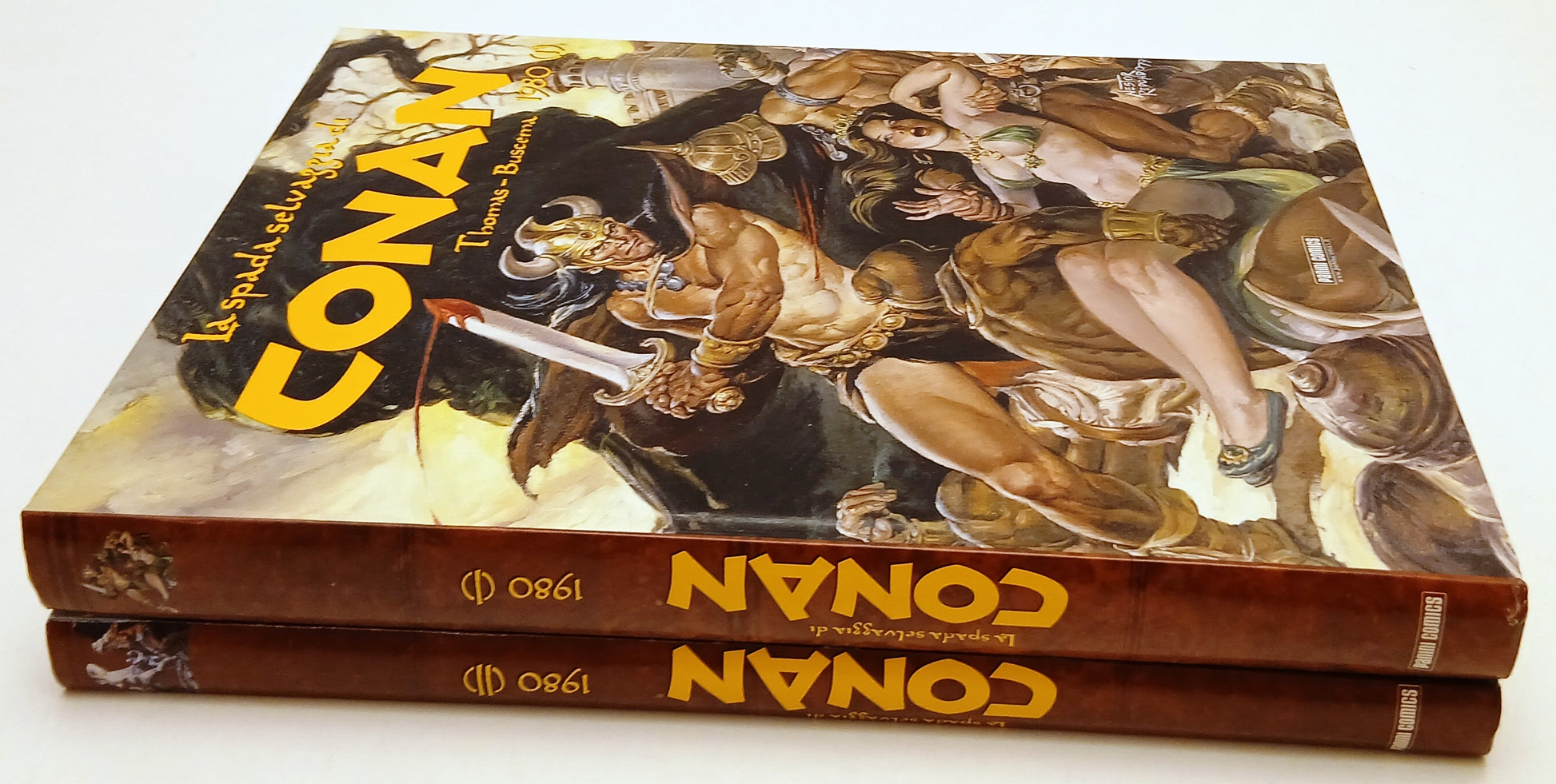 FV- LA SPADA SELVAGGIA DI CONAN 1980 (I/II)- THOMAS BUSCEMA- PANINI- 2013- C-Z25