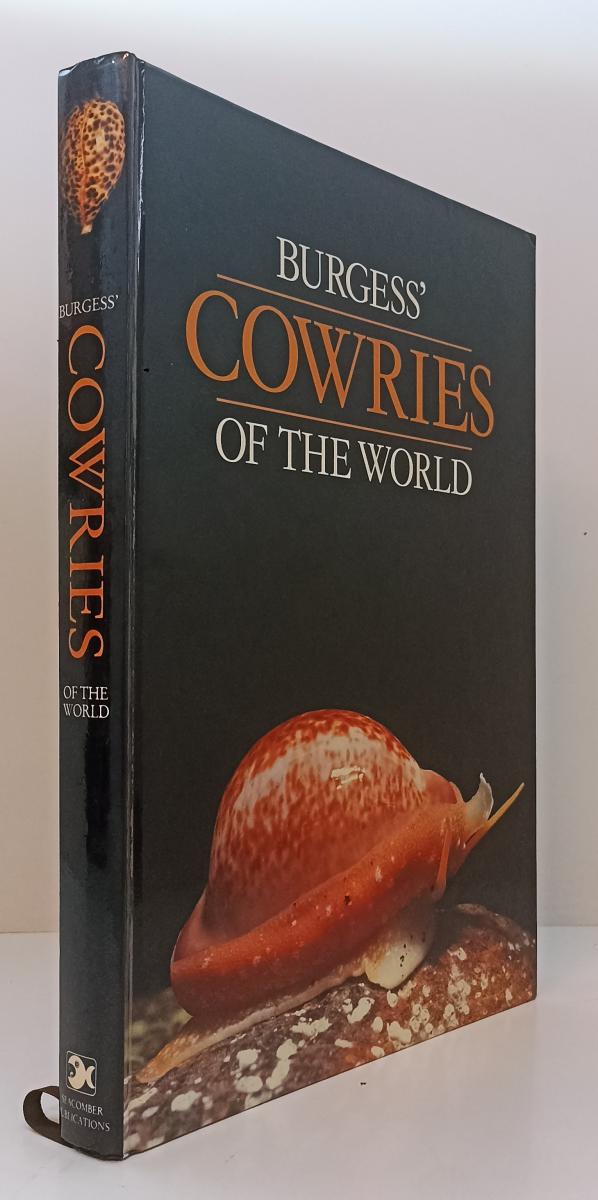 LZ- COWRIES OF THE WORLD - BURGESS - GORDON VERHOEF --- 1985- C- ZFS378