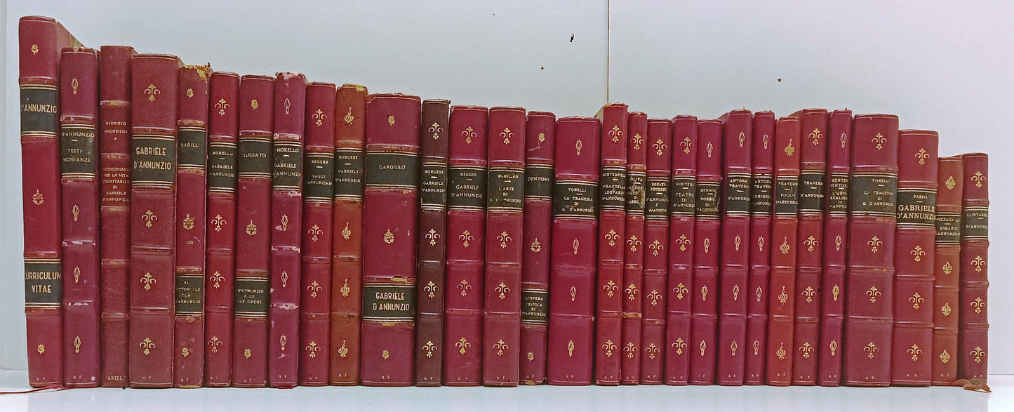 LN- BIBLIOTECA DANNUNZIANA 20 VOLUMI RILEGATI GABRIELE D'ANNUNZIO - C - BLCG10