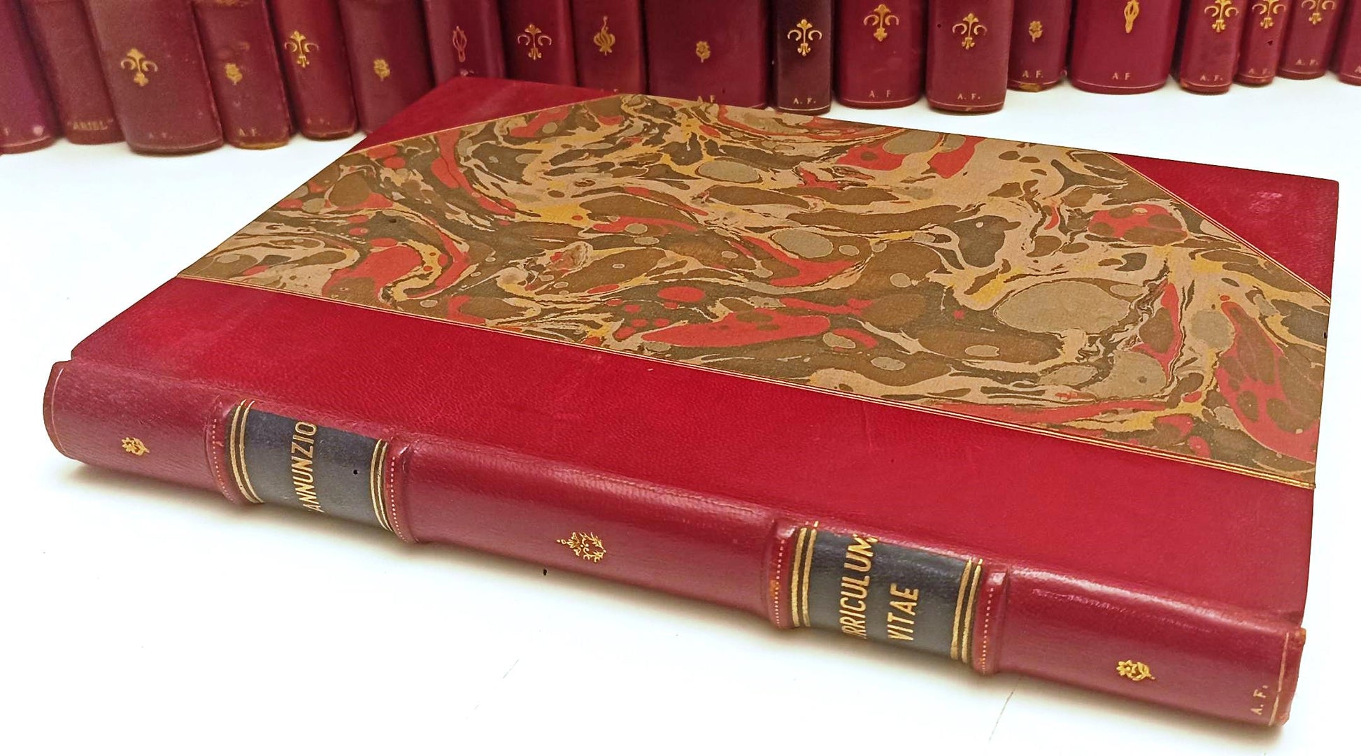 LN- BIBLIOTECA DANNUNZIANA 20 VOLUMI RILEGATI GABRIELE D'ANNUNZIO - C - BLCG10