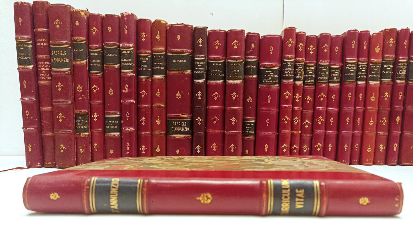 LN- BIBLIOTECA DANNUNZIANA 20 VOLUMI RILEGATI GABRIELE D'ANNUNZIO - C - BLCG10