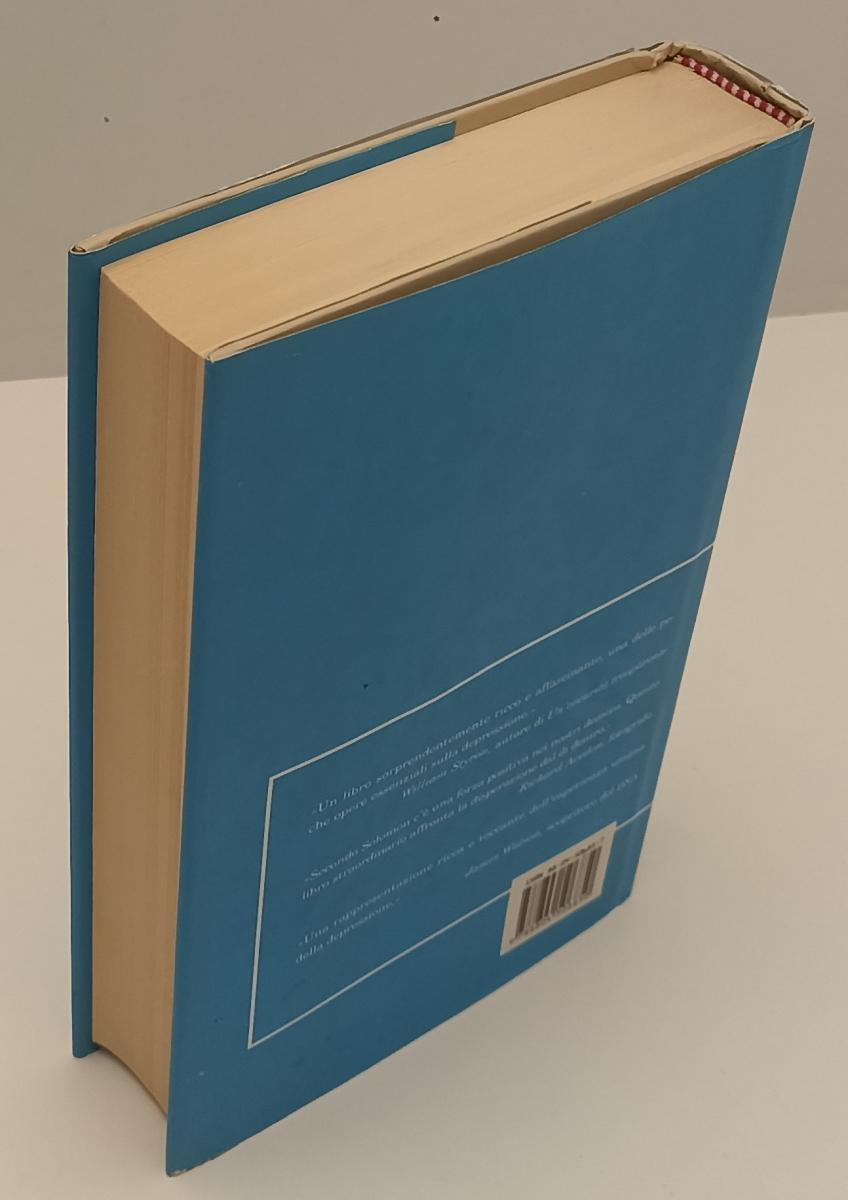 LS- IL DEMONE DI MEZZOGIORNO- ANDREW SOLOMON- MONDADORI- SAGGI- 2002- CS- XFS179