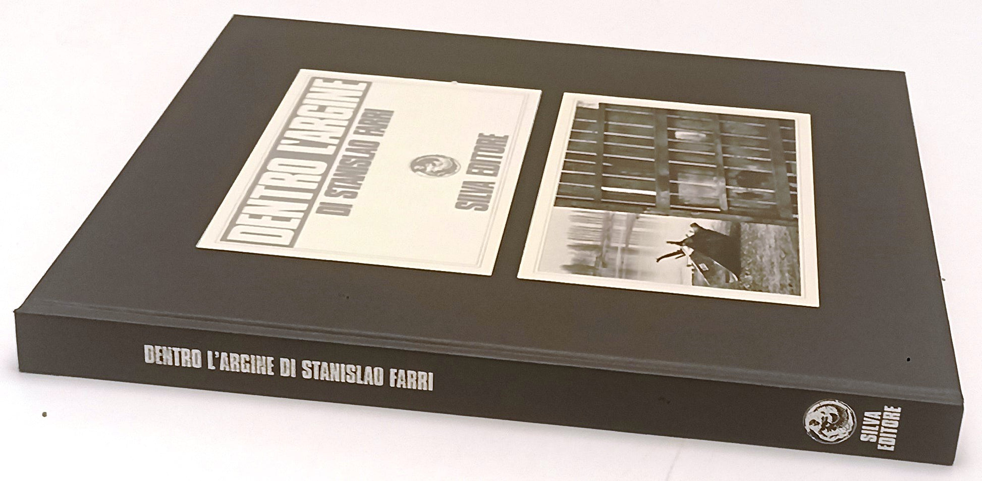 LT- DENTRO L'ARGINE - STANISLAO FARRI - SILVA EDITORE --- 1993 - C - YFS651