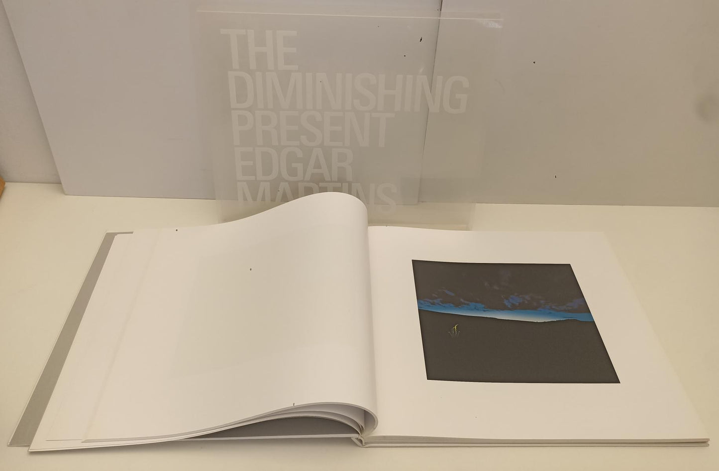 LT- THE DIMINISHING PRESENT EDGAR MARINES VOLUME FOTOGRAFICO - 2006 - C - YFS285
