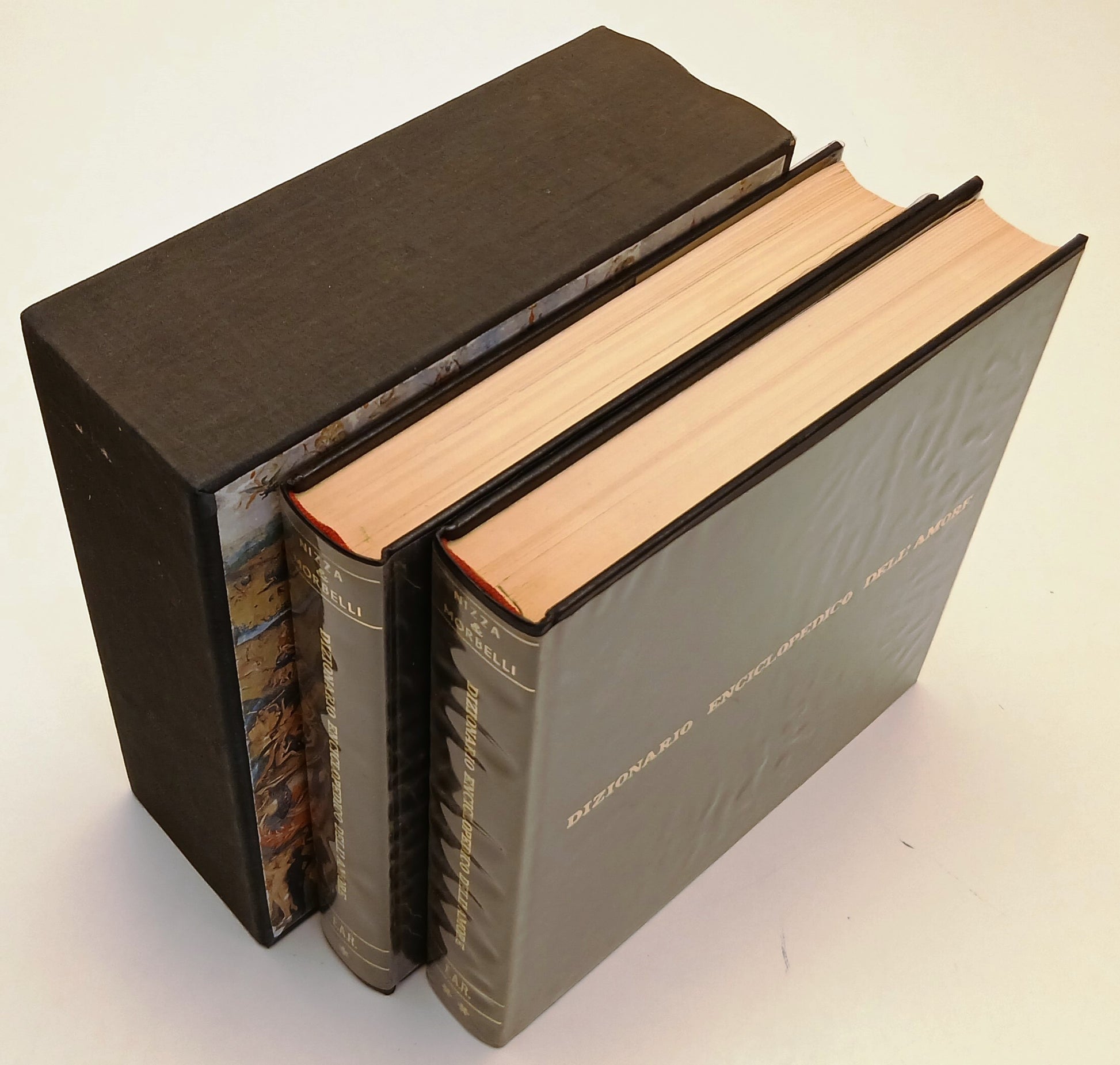 LZ - DIZIONARIO ENCICLOPEDICO DELL'AMORE - NIZZA - E.A.R. --- 1966 - CS - YFS702
