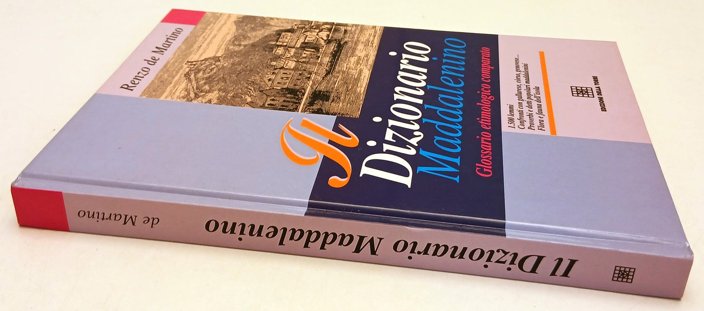 LZ- IL DIZIONARIO MADDALENINO - RENZO DE MARTINO- DELLA TORRE--- 1996- C- ZFS74