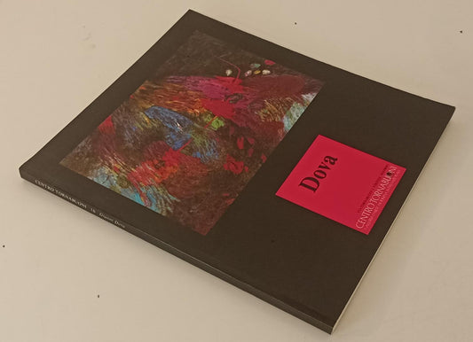 LT- GIANNI DOVA CATALOGO MOSTRA - CAVALLO - CENTRO TORNABUONI--- 1988- B- YFS112