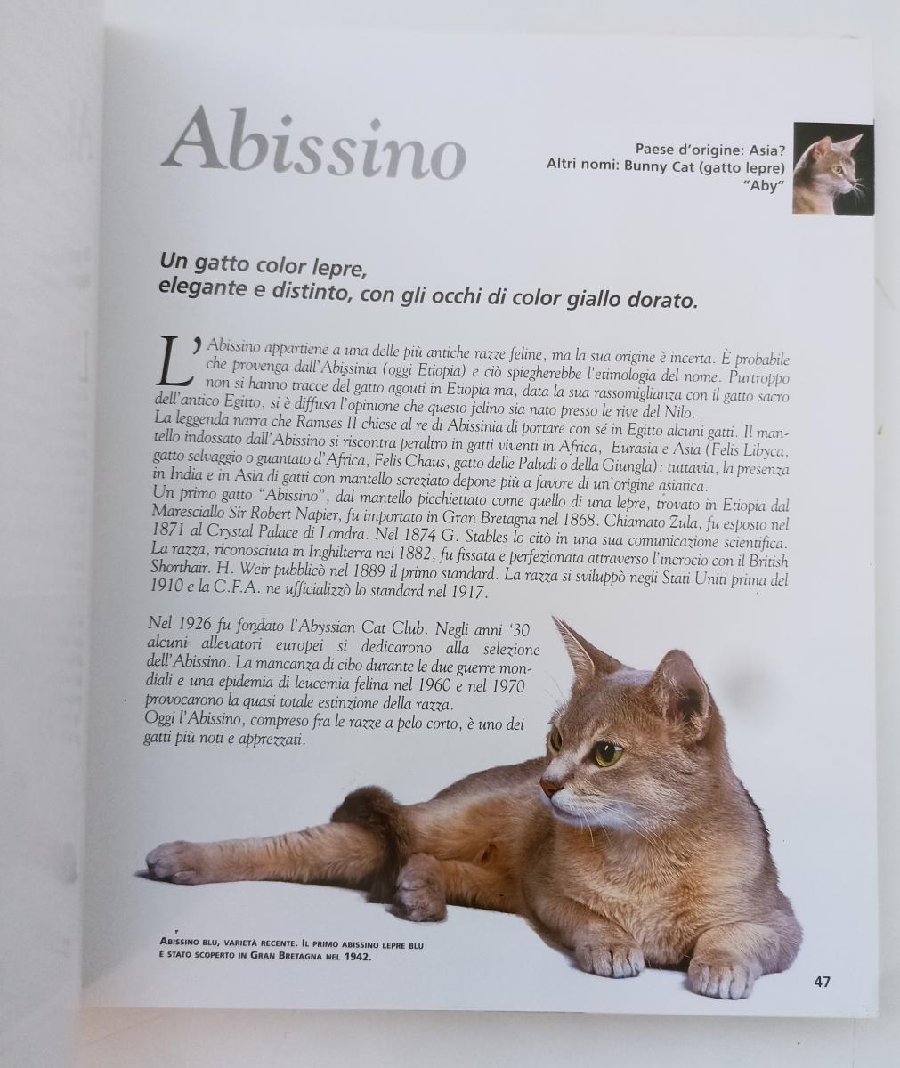LZ- ENCICLOPEDIA DEL GATTO - ROYAL CANIN - ANIWA --- 2001 - CS- ZFS378