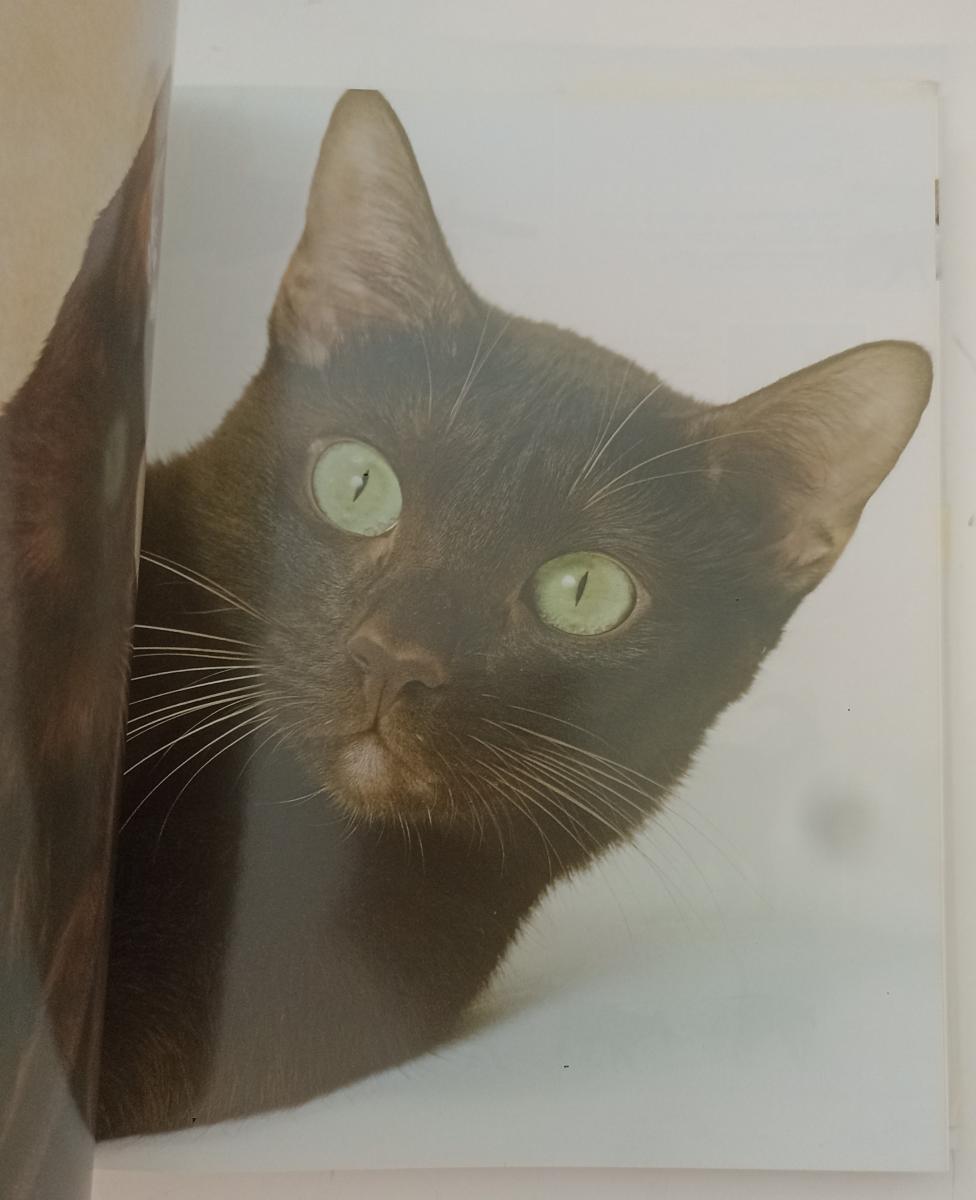 LZ- ENCICLOPEDIA DEL GATTO - ROYAL CANIN - ANIWA --- 2001 - CS- ZFS378