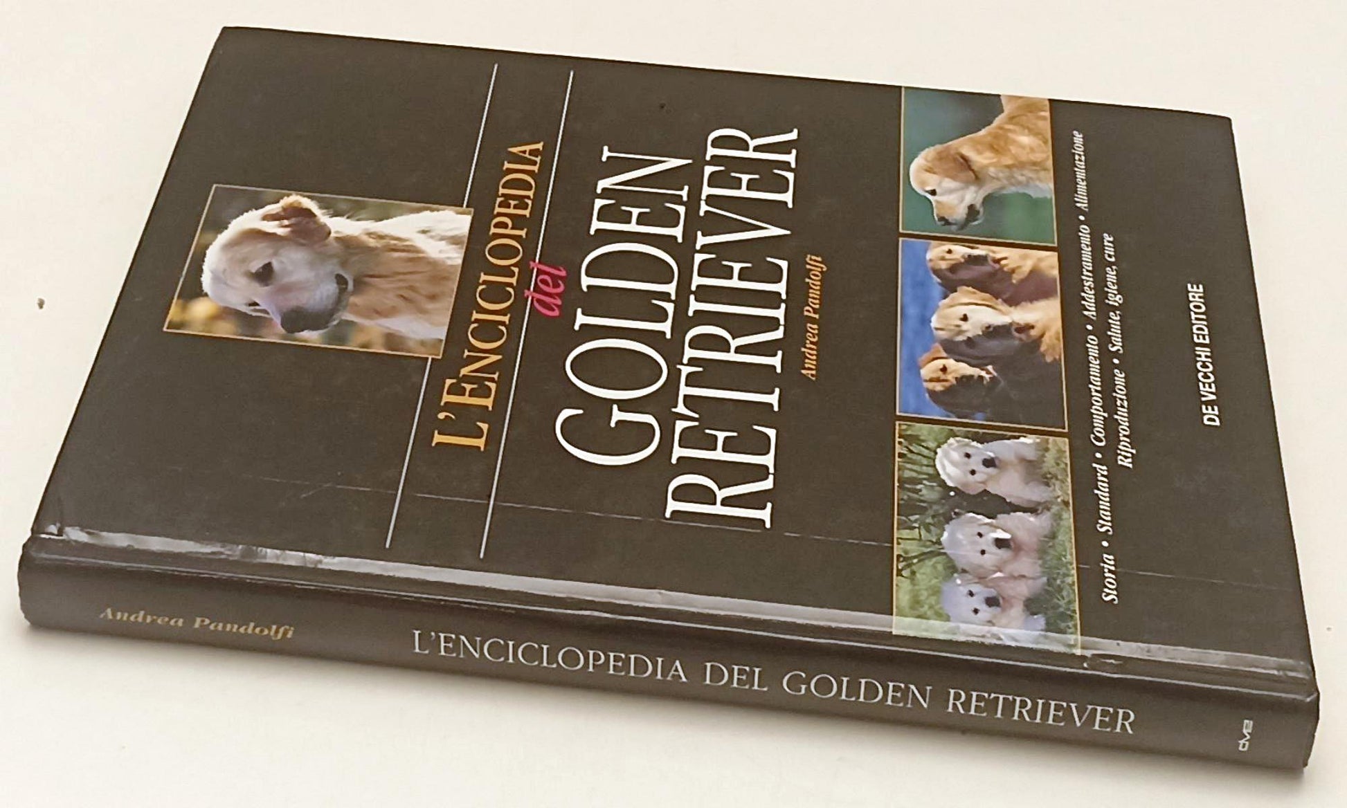 LZ- L'ENCICLOPEDIA DEL GOLDEN RETRIEVER - PANDOLFI- DE VECCHI--- 2004- C- YFS777