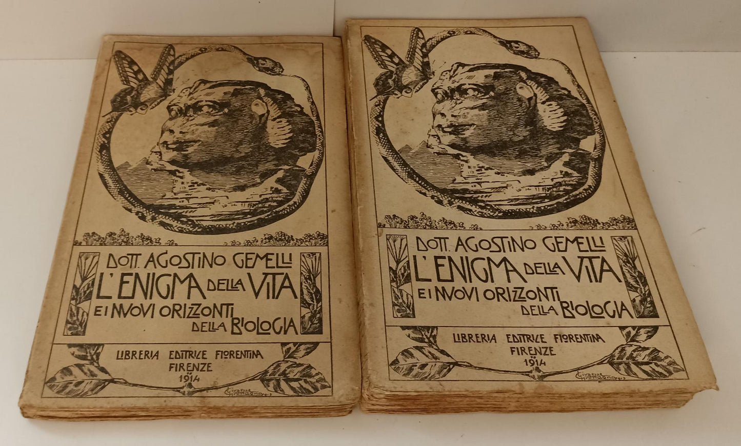 LZ- L'ENIGMA DELLA VITA NUOVI ORIZZONTI BIOLOGIA 1/2- GEMELLI---- 1914- B-ZTT395