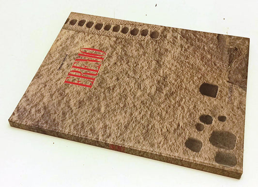 LT- EREMO FOTOGRAFIE - VITTORINO ANDREOLI - LONGANESI --- 1990 - C - YFS352