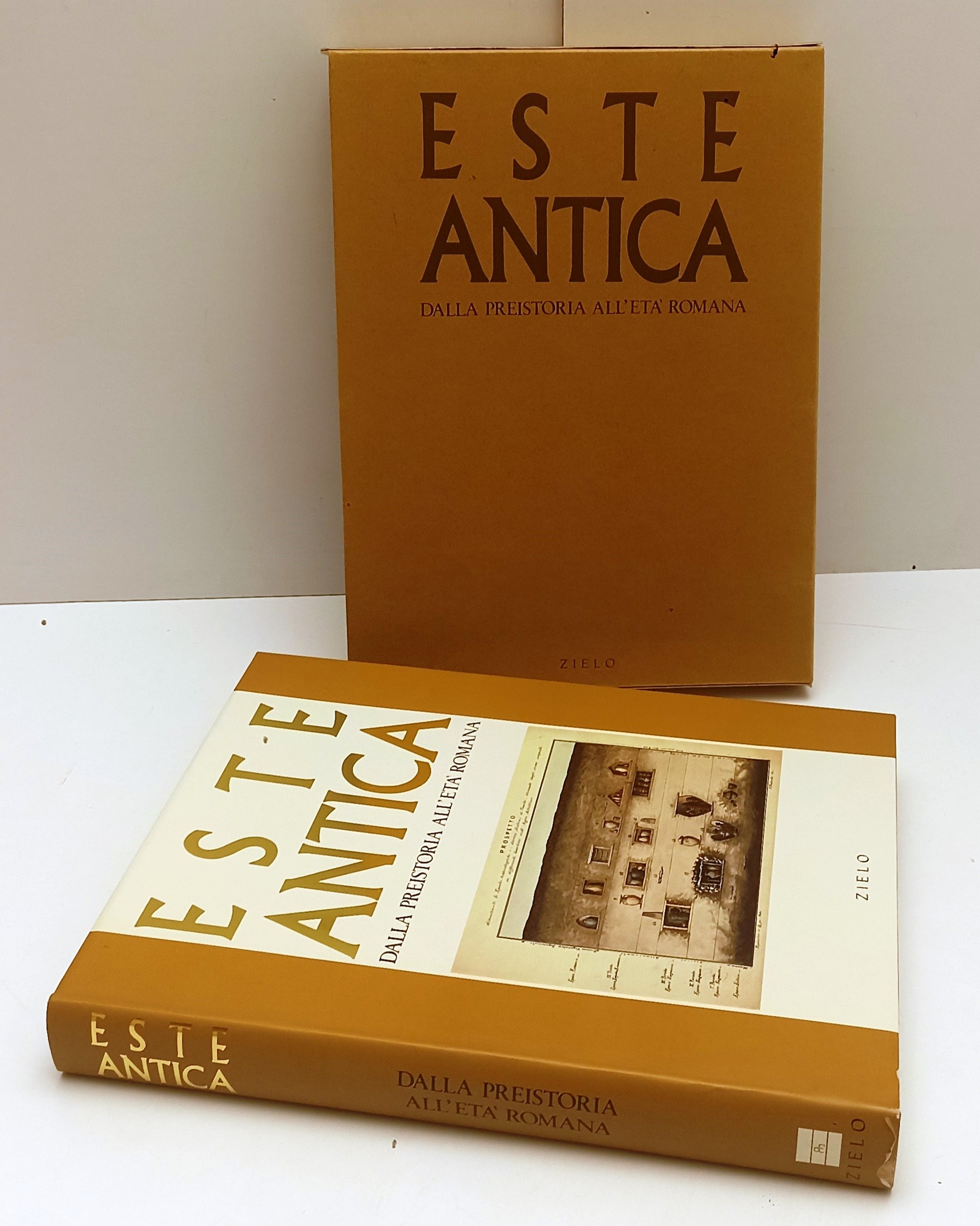 LS- ESTE ANTICA DALLA PREISTORIA ALL'ETA' ROMANA- TOSI- ZIELO--- 1992- CS-YFS132