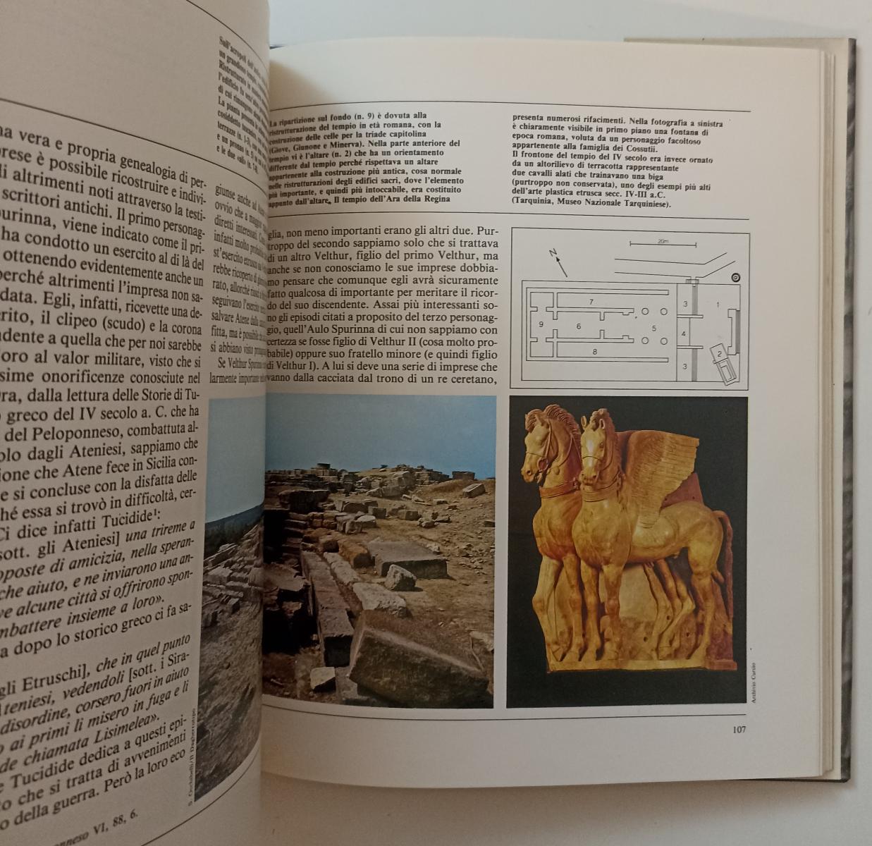 LT- BIBLIOTECA DI ARCHEOLOGIA GLI ETRUSCHI - PIANU - CURCIO--- 1985- CS- YFS880