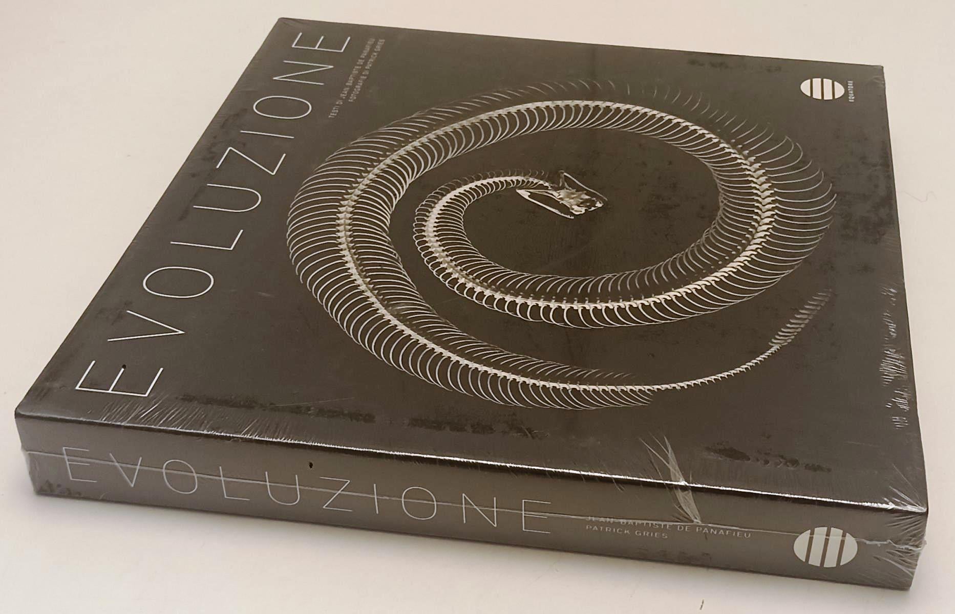 LZ- EVOLUZIONE - JEAN BAPTISTE DE PANAFIEU GRES- EQUATORE --- 2007- CS- WPR319