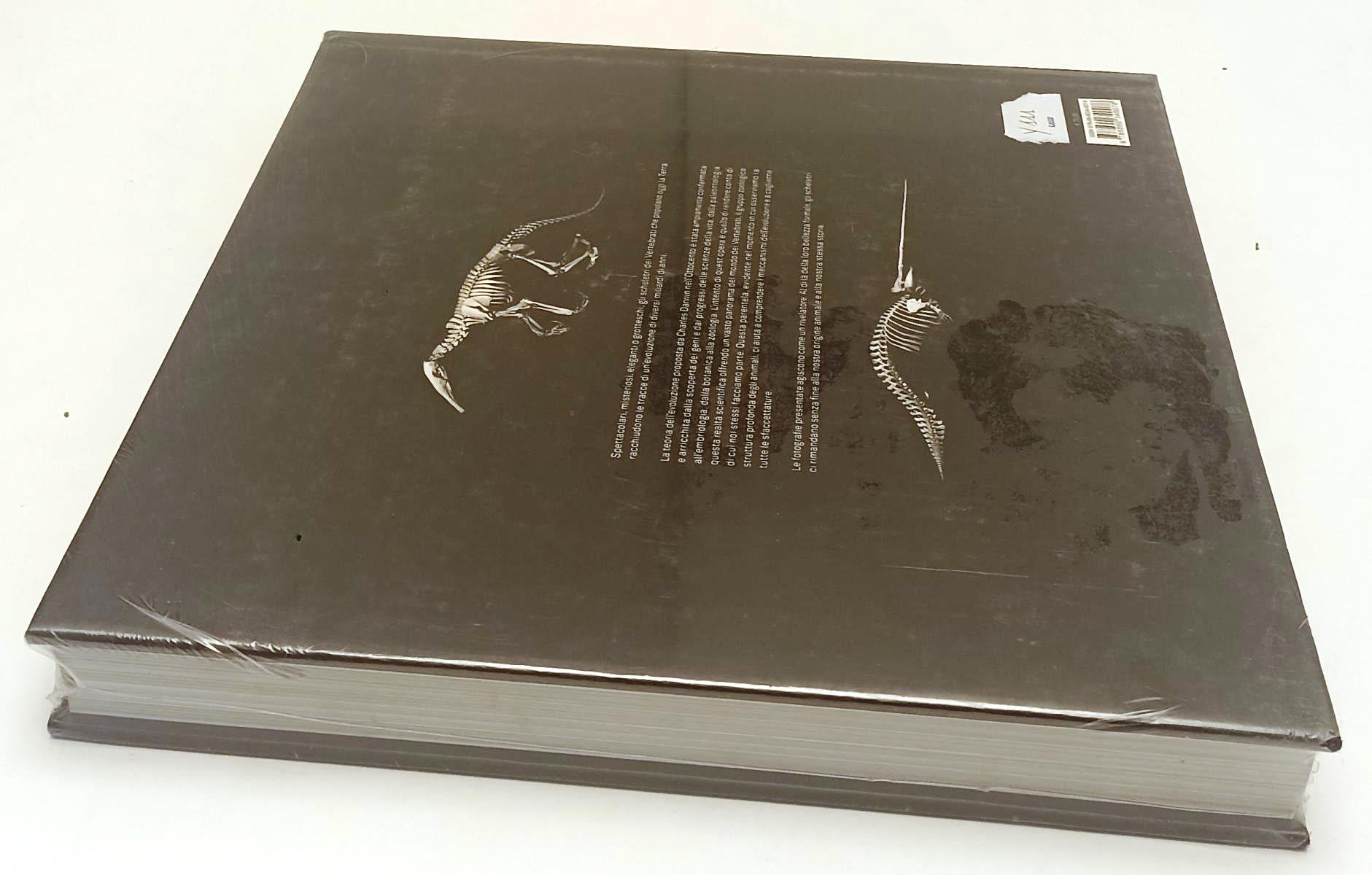 LZ- EVOLUZIONE - JEAN BAPTISTE DE PANAFIEU GRES- EQUATORE --- 2007- CS- WPR319