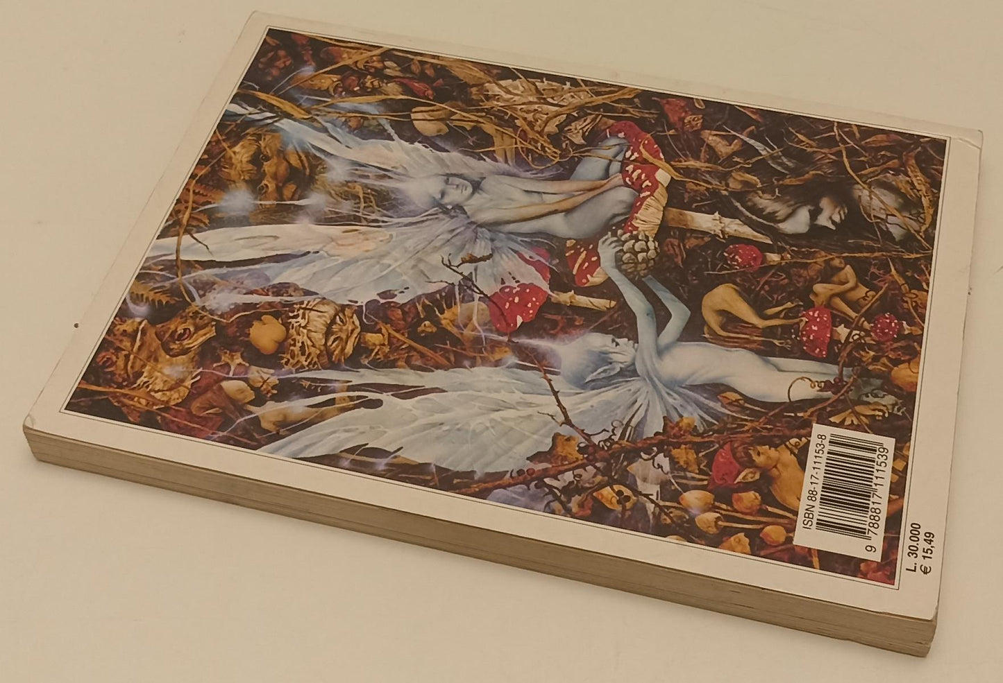 LB- FATE - BRIAN FROUD ALAN LEE - RIZZOLI - BUR ILLUSTRATI --- B - XFS142