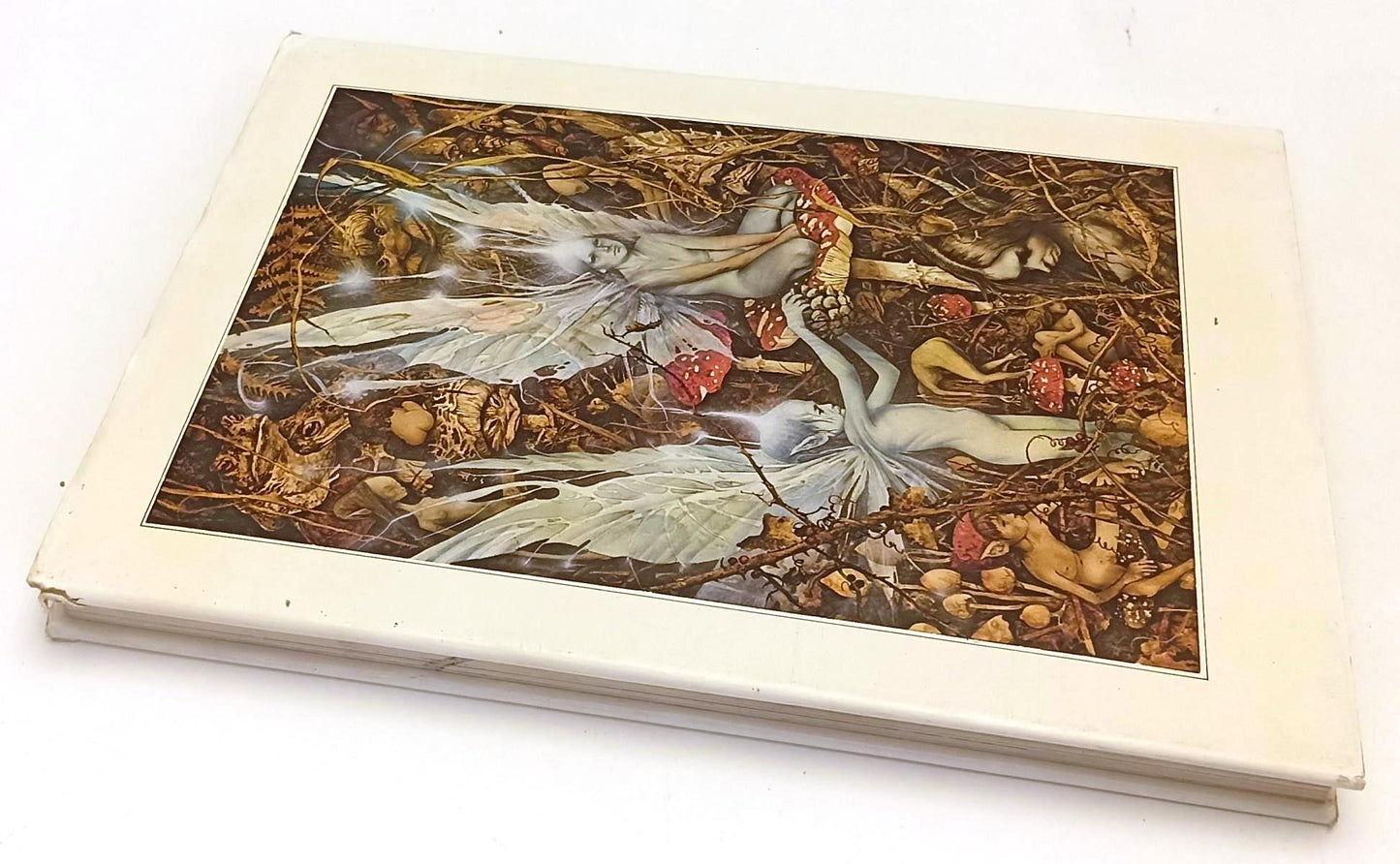 LB- FATE - BRIAN FROUD e ALAN LEE DAVID LARKIN - RIZZOLI --- 1979 - CS - YFS514