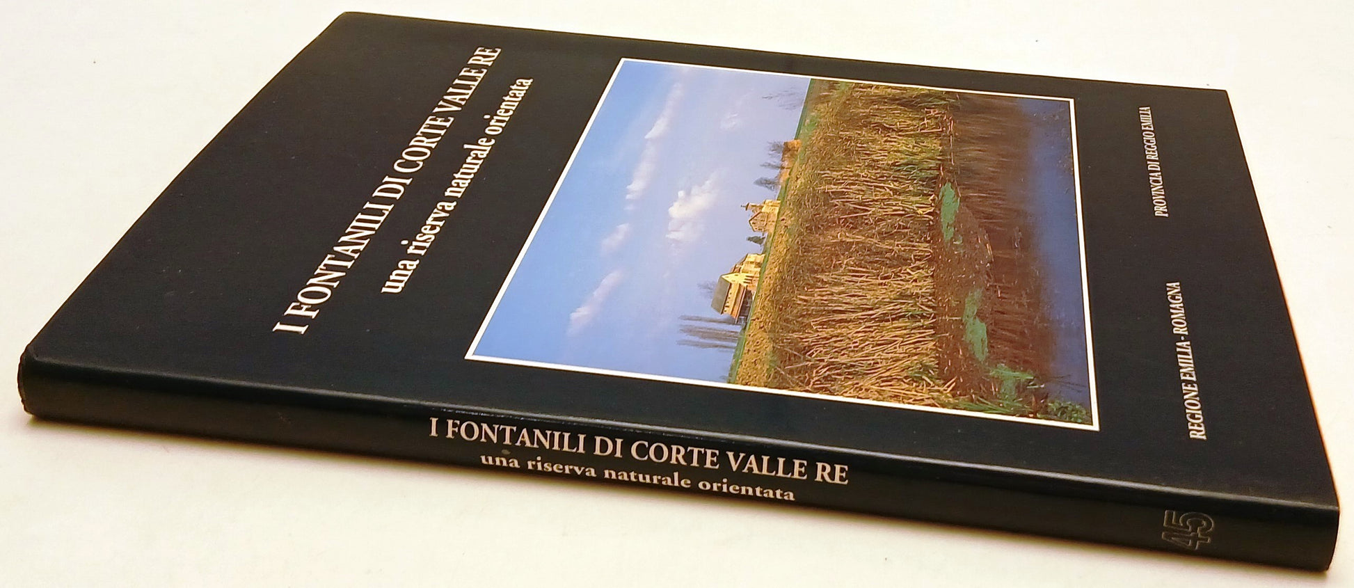 LZ- I FONTANILI DI CORTE VALLE RE -- REGIONE EMILIA ROMAGNA --- 1994- BS- YFS332