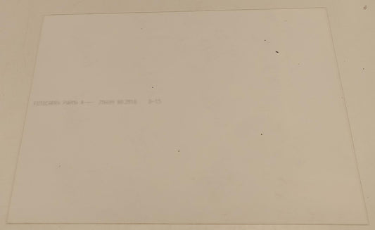 CV- FOTOGRAFIA FOTO CALCIO PARMA - FIORENTINA - SENSINI CRESPO - 1999 - RVSa555