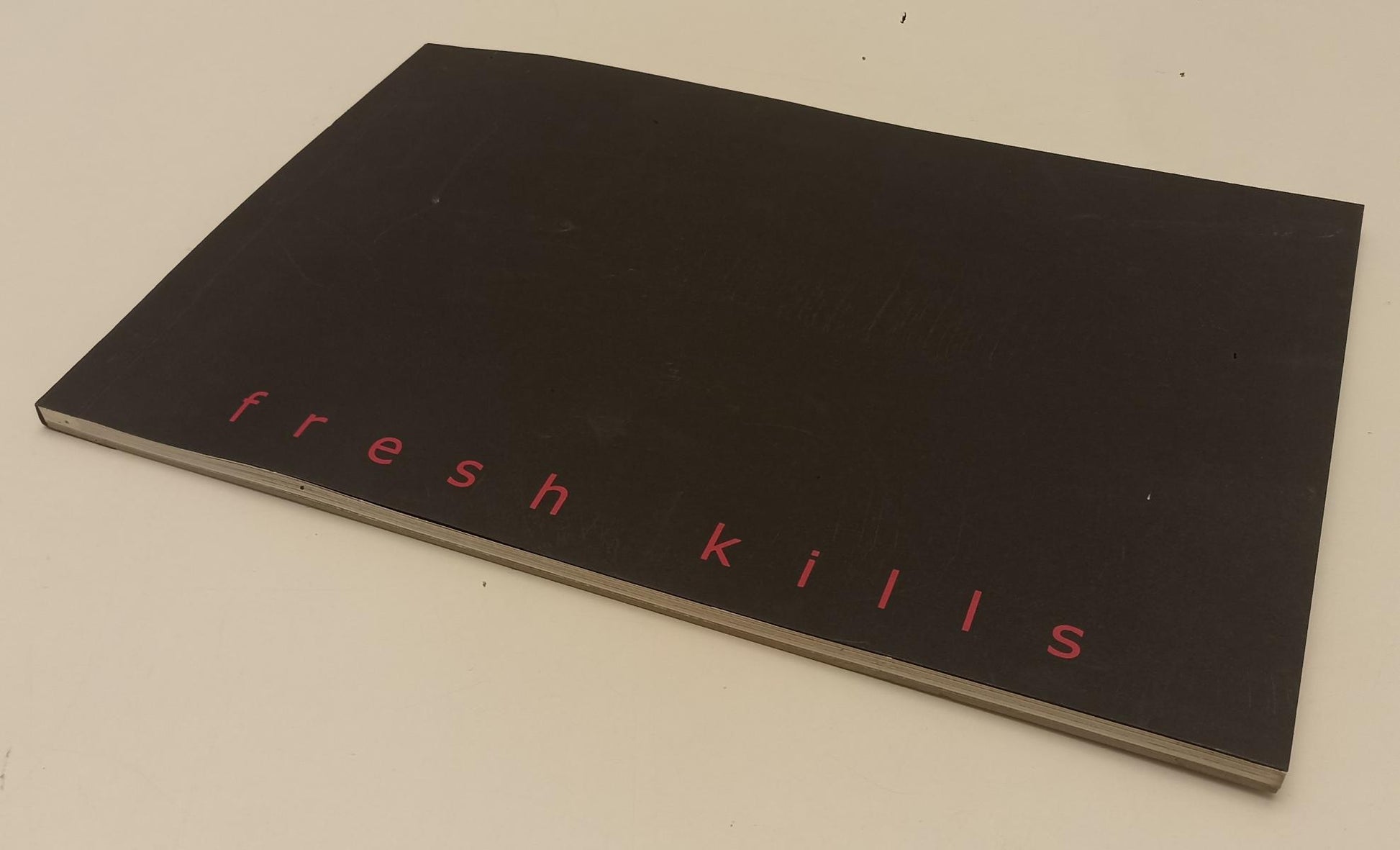 LT- PAOLO GRASSINO FRESH KILLS - GIOBERTO MORO- GALLERIA GIORGIO PERSANO- XFS188
